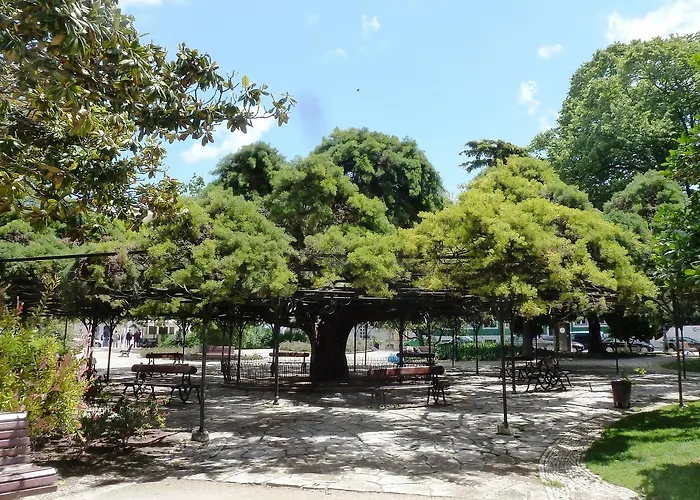 Lovelystay - Artsy Real Daire